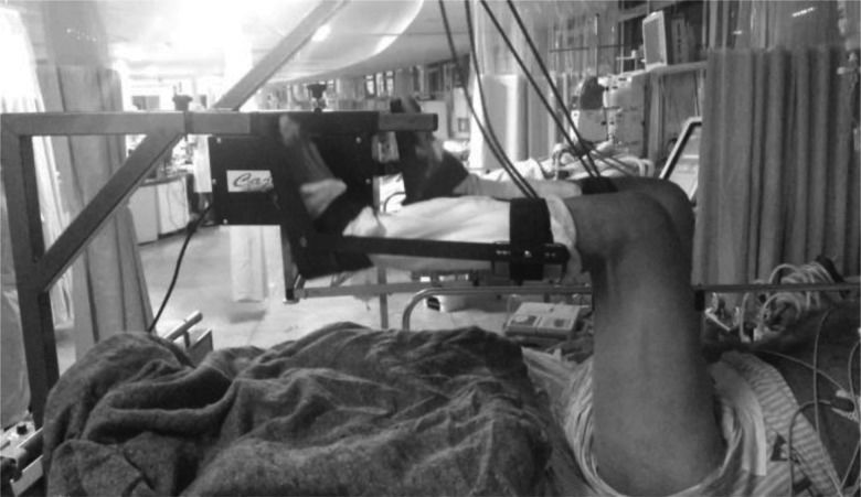 Oxidative stress and immune system analysis after cycle ergometer use ...
