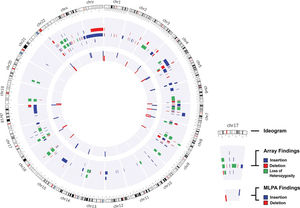 Cytogenomic map of the raw data of all alterations identified via the MLPA and array techniques. The gray circles represent the locations of the breakpoints of the alterations identified by both techniques, in which the center circle corresponds to the MLPA results and the middle circle to the array results. Each bar refers to the position of each identified copy number change: the red bar refers to deletions, the blue to duplications, and the green to loss of heterozygosity. The genomic positions are reported according to their mapping on the GRCh38/hg38 genome build from the UCSC Genome Browser.