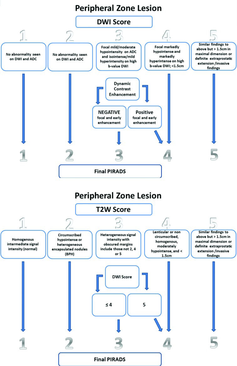 Pi Rads 3 Score Current concepts in multiparametric magnetic resonance imaging for ...