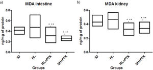 MDA concentrations (nmol/mg of protein) in the intestine (a) and kidney (b). Wistar rats were assigned to four groups: no resuscitation (IO-intestinal obstruction and ischemia), Ringer