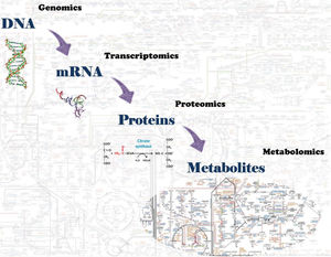 Omics science components of biological systems