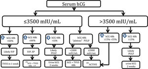 The algorithm employed by the Obstetric Clinic of the HCFMUSP in the follow-up of PUL cases. * Expectant: hCG up to a maximum of 3,500 mIU/mL (serum hCG+TVUS). **Active: MVA (hCG at 24 hours/hCG at 0 hours). Increase or decrease in hCG <15% 24 hours after MVA⇒MTX 50 mg/m2. Failure after one cycle of MTX, computed tomography, or magnetic resonance imaging of the chest, abdomen, and pelvis due to the possibility of chorionic gonadotropin-producing tumor.