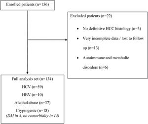 Study diagram flow. HCC: hepatocellular carcinoma; HBV: hepatitis B virus; HCV: hepatitis C virus; DM: diabetes mellitus.