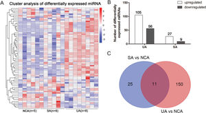 Differentially expressed miRNAs in patients with SA, UA, and NCA. (A) Cluster analysis of differentially expressed miRNAs in patients with SA, UA, and NCA. (B) Upregulated and downregulated miRNAs in patients with SA and UA. (C) Venn diagram of differentially expressed miRNAs in SA and UA patients compared with those of NCA patients. SA, stable angina (SA); UA, unstable angina; NCA, normal coronary artery.