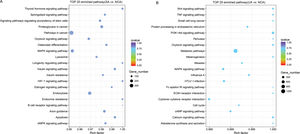 KEGG pathway analysis of differentially expressed miRNAs in SA and UA patients compared with NCA patients. (A) Enriched top-20 pathways of differentially expressed miRNAs in SA patients compared with NCA patients. (B) Enriched top-20 pathways of differentially expressed miRNAs in UA patients compared with NCA patients. Rich factor: the ratio of candidate genes enriched in the pathway to total genes in the pathway. KEGG, Kyoto Encyclopedia of Genes and Genomes; SA, stable angina (SA); UA, unstable angina; NCA, normal coronary artery.