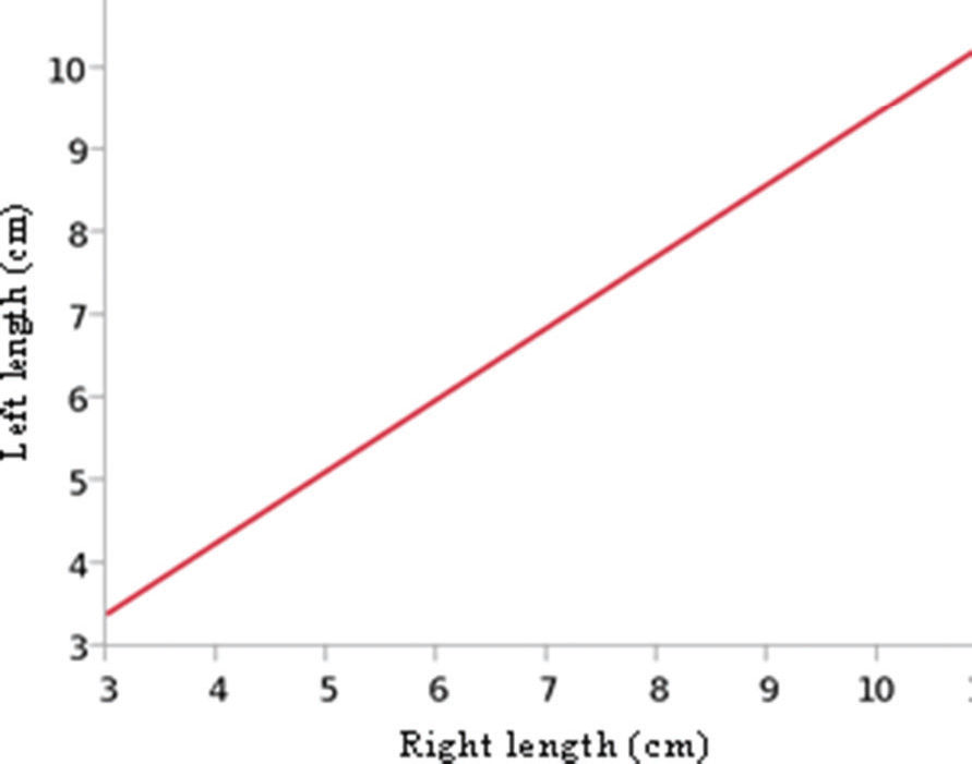 Morphometry and Frequency of the Pyramidalis Muscle in Adult Humans: A ...