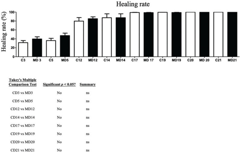 Acellular dermal matrix in skin wound healing in rabbits - histological ...