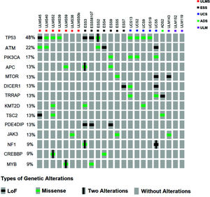 Distribution of mutations in samples and their biological effects. The figure was constructed using the OncoPrinter from cBioPortal for Cancer Genomics database (http://www.cbioportal.org/). Each gray rectangle represents a sample according to the sequence indicated at the top. Genes with the highest frequency of alterations are shown. Captions for each type of alteration (Loss of function - Black Square; Missense - Green Square; Two alterations in the same gene - vertical line [modified by authors]; No alteration - gray rectangle) are indicated.