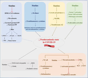 Possible pleiotropic effects of statins to reduce thrombotic complications in patients with COVID-19. eNOS, endothelial nitric oxide synthase; NF-κB, nuclear factor kappa B; KLF2, Krüppel-like factor 2; NO, nitric oxide; MAPK, mitogen-activated protein kinase; ROS, reactive oxygen species.
