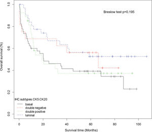 Overall survival of 120 patients treated with radical cystectomy for MIUCB. Kaplan-Meier curves showing no difference based on IHC subtypes using CK5 and CK20 (Breslow test p=0.195).
