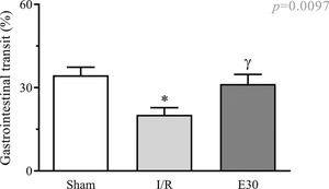 Effect of intestinal I/R injury on the gastrointestinal transit (%). In rats with I/R injury, the superior mesenteric artery was clamped (45 min), followed by intestinal reperfusion (2h). Estradiol (180 µg/kg, i.v.) was administered 30 min after the induction of intestinal ischemia (E30). Sham-operated rats were used as controls. Data are expressed as the mean±standard error of the mean (SEM) from 6 animals. *p=0.011 compared with the sham group; γp=0.0457 versus intestinal I/R group. I/R, ischemia and reperfusion.