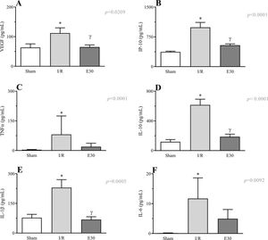 Effects of intestinal I/R injury and estradiol treatment on the serum levels of VEGF (panel A), IP-10 (panel B), TNFα (panel C), IL-10 (panel D), IL-1β (panel D), and IL-6 (panel E). In I/R injury rats, the superior mesenteric artery was clamped (45 min), followed by intestinal reperfusion (2h). Estradiol (180 µg/kg, i.v.) was administered 30 min after induction of intestinal ischemia (E30). Sham-operated rats were used as controls. Data are expressed as the mean±standard error of the mean (SEM) from 8 animals. *p≤0.05 compared with sham; γp≤0.05 compared with I/R. I/R, ischemia and reperfusion; VEGF, vascular endothelial growth factor; IP-10, inducible-protein-10 IL-10, interleukin 10; IL-1β, interleukin-1β; TNFα, tumor necrosis factor-alpha.