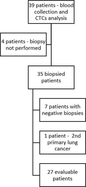 Flowchart showing patient inclusion, blood collection, biopsies, and reasons for excluding patients. Abbreviations: CTCs (circulating tumor cells).