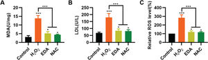 Edaravone (EDA) inhibits the oxidative stress in nerve stem cells (NSCs). A, Malondialdehyde content in the medium of NSCs; B, Lactic dehydrogenase content in the medium of NSCs; C, reactive oxygen species content in the medium of NSCs. *p<0.05, ***p<0.001. Mann-Whitney U test (A-C).