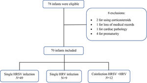 Characteristics of the patients included in the study. HRSV, human respiratory syncytial virus; HRV, human rhinovirus.