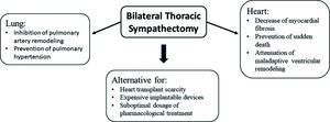 Bilateral sympathectomy potential benefits for patients with heart failure.