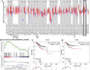 (A) Assessment of RNPS1 expression in cancers. (B) GSEA of the correlation between RNPS1 and UCEC. (C) OS and (D) RFS analyses of the role of RNPS1 in UCEC patients.