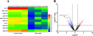 The microarray dataset, GSE7072, is used to screen out the abnormally expressed microRNAs (miRNAs) in Retinoblastoma (RB) tissues and normal tissues. (A) Heat map showing 10 downregulated miRNAs with the most significant statistical differences (log2 fold change < -1 and p < 0.05) between three cases of normal retina samples and three cases of RB samples in GSE7072. Red indicates that the miRNAs are highly expressed in the sample, and blue indicates that the miRNAs are lowly expressed in the sample. (B) Volcano plot showing the differentially expressed miRNAs between three normal retina samples and three RB samples in GSE7072 (log2 fold change > 1 and p < 0.05). Blue represents the downregulated miRNAs, and red represents the upregulated miRNAs. Black represents the miRNAs with no significant differences between RB and normal tissues.