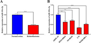 MiR-181a-5p is downregulated in RB tissues and cell lines. (A) Quantitative reverse Transcription-Polymerase Chain Reaction (qRT-PCR) showed that miR-181a-5p was significantly downregulated in RB tissues compared with the normal retinal tissues. (B) qRT-PCR showed that miR-181a-5p was significantly downregulated in RB cell lines compared to the normal retinal pigment epithelial cells. The expression of miR-181a-5p was normalized to that of the U6 small nuclear RNA (snRNA). The data are shown as the mean ± standard deviation from three independent experiments. **p < 0.01 and ***p < 0.001.