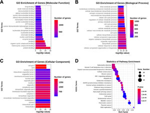 Top 20 functional GO terms and KEGG pathways of the differentially expressed miRNA target genes shown according to the p-value. (A) Molecular Function terms, (B) Biological Process terms, (C) Cellular Component terms, (D) Top 20 KEGG pathways.