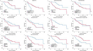 Kaplan-Meier curves showing survival time by clinic-pathological parameters for surgically resected brain metastases from lung adenocarcinoma. L1CAM high expression (L) was associated with unfavorable survival time. L1CAM, L1 Cell Adhesion Molecule.