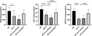 SP-A inhibited the activities of antioxidant enzymes through promoting STOX1 in placenta. The activities of SOD, CAT, GSH-Px and NOS in placentas from NC group, SP-A group, SP-A+ov-STOX1 group and SP-A+si-STOX1 group were shown (n = 6).