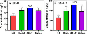 The content of inflammatory factors CCL11 and CXCL10. (A) Concentration of CCL11 (ng/L); (B) Concentration of CXCL10 (ng/L) in four groups. ⁎⁎⁎p < 0.001, ⁎⁎p < 0.01, compared with NC group; #p < 0.05, compared with model group.