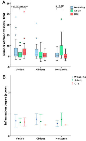 Results of histological analysis. Regarding the number of vessels per field in the groups, there were some statistical differences, although no differences were observed in the inflammation degree score. Note some outlier values.