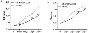 miRNA-223 upregulation reduces cell proliferation. (A) Proliferation of EuSCs in the sh-NC and sh-miRNA-223 groups. (B) Proliferation of EcSCs in the sh-NC and sh-miRNA-223 groups. miRNA-223, microRNA-223; EuSCs, eutopic endometrial stromal cells; EcSCs, ectopic endometrial stromal cells; *p < 0.05, **p < 0.01, and ***p < 0.001, when compared with the sh-NC group.