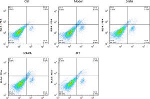 Effect of MT on autophagic apoptosis of rat ovarian granulosa cells. Flow cytometry was used to detect apoptosis in the ovarian granulosa cells of each group.