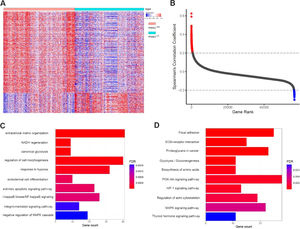Overexpression of P4HA2 predicts shorter survival for TCGA-LUAD patients (A) and LUAD-BM patients (B). (C–D) Multivariate analysis shows that P4HA2 serves as an independent factor of poor survival in LUAD and LUAD-BM patients. P4HA2, Prolyl 4-Hydroxylase subunit Alpha-2; LUAD, Lung Adenocarcinoma; BM, Brain Metastasis.