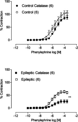 Effects of catalase (1000 U/mL) on the concentration-response curves to phenylephrine in aortic thoracic rings of epileptics and control rats. Each point represents the mean ± SEM.* p < 0.05 versus the corresponding control by Student's t-test. The amount of animals used is indicated in parentheses.