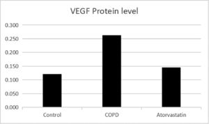 Concentration of VEGF in lung tissues.