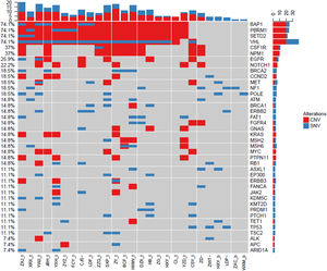 Landscape of gene mutations from patients with clear cell renal cell carcinoma (ccRCC): Left Y-axis shows frequent mutated genes identified by MutSig CV and Lauren classification. Right Y-axis shows gene names. X-axis shows abbreviation of patient name. t, tumor; b, blood; CNV, Copy Number Variation; SNV, Single Nucleotide Variation.