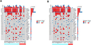 Landscape of mutations from RCC patients with and without recurrence or metastasis. (A) Landscapes of gene mutations from recurrence and non-recurrence. (B) Gene mutations frequently occurred in metastasis (transfer) and non-metastasis (transfer) patients. Left Y-axis shows frequent mutated genes identified by MutSig CV and Lauren classification. Right Y-axis shows gene names. Top x-axis shows abbreviation of patient name. Bottom X-axis shows that either non-recurrence and non-transfer (light blue color) groups or recurrence and transfer (red color) groups. t, tumor; b, blood; CNV, Copy Number Variation; SNV, Single Nucleotide Variation; NR, Non-Recurrence; R, Recurrence; T, Transfer; NT, Non-Transfer.