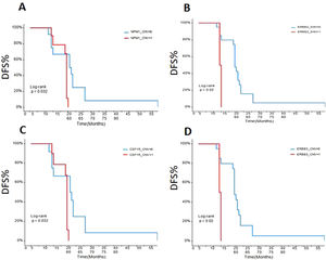Comparison of disease-free survival in RCC patients with NPM1, CSFR1, ERBB2/3. (A) NPM1; (B) ERBB2; (C) CSFR1;(D) ERBB3. CNV-0, no copy number variation; CNV-1, with copy number variation.