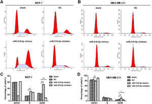 MiRNA-218-5p arrests BC cell cycle in S- and G2-phases. (A‒B) Detection of cell cycle after miRNA-218-5p mimics or miRNA-218-5p inhibitor transfecting for 36h (flow cytometry). (C‒D) Percentages of cells in G1-, S- and G2-phases (*p < 0.05, **p < 0.01).