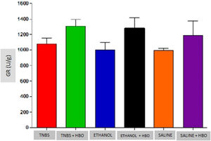 Measurements of GR in the intestines of treated and untreated mice subjected or not subjected to HBO therapy. The values represent the mean ± SEM; no differences were observed between the TNBS, ETHANOL+HBO and SALINE/TNBS+HBO, ETHANOL and ETHANOL+HBO groups (GR, Glutathione Reductase).