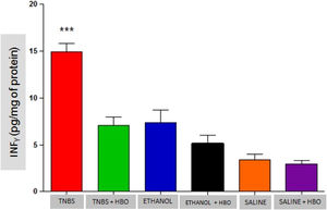 Measurements of interferon γ in the intestines of treated and untreated mice subjected or not subjected to HBO therapy. The values represent the mean ± SEM; *** = p < 0.0001 TNBS vs. TNBS+HBO, ETHANOL, ETHANOL + HBO, SALINE and SALINE + HBO (n = 10 animals/group).