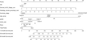 The Nomogram of EC patients. Points represents the single item score corresponding to each variable under different values, and Total Point represents the total score of the sum of the corresponding single item scores after all variable values. 12-month Survival probability, 24-month Survival prob, 36-month Survival prob represent 1-year, 3-year and 5-year survival probability, respectively. Each Total Points corresponds to 1-year, 3-year and 5-year survival rates. The Nomogram of EC patients. Points represents the single item score corresponding to each variable under different values, and Total Point represents the total score of the sum of the corresponding single item scores after all variable values. 12-month Survival probability, 24-month Survival prob, 36-month Survival prob represent 1-year, 3-year and 5-year survival probability, respectively. Each Total Points corresponds to 1-year, 3-year and 5-year survival rates.