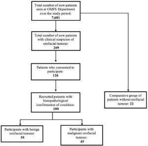 Recruitment summary of study participants.