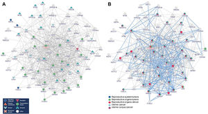 Interaction network of FOXO3A and related genes described as associated with gynecological tumors. (A) Genes biological function in the cells. (B) Female tumors described in the literature as associated with the signaling of the genes included in the network (p<0.0001).