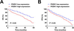 Patients with high PDZK1 expression have poor OS and PFS. (A‒B) Kaplan-Meier curve analysis and log-rank test results.
