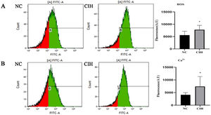 Increased ROS and Ca2+ levels in the myocardium of rats induced by CIH. (A) ROS fluorescence intensity was significantly higher in the CIH group than in the NC group (*p < 0.05). (B) The fluorescence intensity of Ca2+ significantly increased in the CIH group than in the NC group (*p < 0.05).