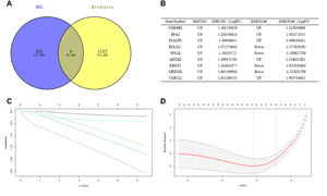 Identification of candidate central genes. (A) Venn diagram showing the numbers of overlapped genes between DEG s and MitoCarta. (B) Expression trends of overlapping genes in GSE5281 and GSE28146 datasets. (C) LASSO coefficient profiles of candidate genes. (D) Cross-validation to select the optimal tuning parameter log (λ) in LASSO regression analysis.