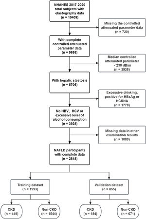 Flow chart of the study participants.