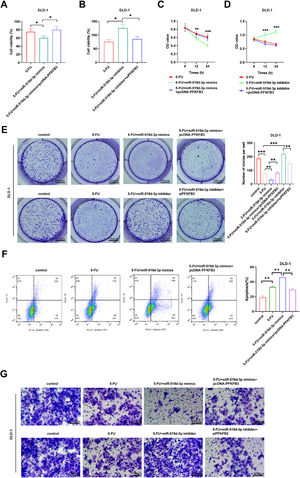 PFKFB3 inhibits the effect of miR-519d-3p on the chemosensitivity of CRC cells. (A and B) Cell viability was assessed in CRC cells treated with 5-FU. (C and D) DLD-1 cell viability was significantly higher in the miR-519d-3p mimics + pcDNA-PFKFB3 group compared with the miR-519d-3p mimics group. However, DLD-1 cell viability was reduced in the miR-519d-3p knockdown + PFKFB3 silencing group compared with the miR-519d-3p inhibitor group. (E) 5-FU-treated DLD-1 cell proliferation was assessed using colony formation assays. (F) Flow cytometry was used to determine the apoptosis rate of DLD-1 cells treated with different compounds. (G) The invasion ability (magnification, × 200) of 5-FU-treated DLD-1 cells was enhanced in the PFKFB3 overexpression + miR-519d-3p mimics group compared with the miR-519d-3p mimics group. * p < 0.05, ** p < 0.01, *** p < 0.001. PFKFB3, 6-Phosphofructokin-ase-2/Frucose-2, 6-Biphosphatase 3; miR-519d-3p, miR-519d-3p; CRC, Colorectal Cancer; 5-FU, 5-Fluorouracil.