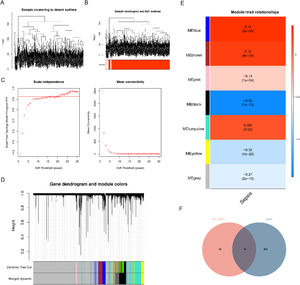 Screening for DE-S-LMRGs by WGCNA. (A) Sample clustering diagram. The branch represents the sample, and the ordinate represents the height of the hierarchical clustering. There is no obvious outlier sample; (B) Sample and trait clustering plots; (C) Analysis of network topology for various soft-thresholding powers, including the scale-free fit index (y-axis of left panel) and the mean connectivity (degree, y-axis of right panel). The higher the square of the correlation coefficient is R^2, the closer the network is to a scale-free distribution; (D) Module clustering dendrogram. Above is the hierarchical cluster tree of genes; below is the gene module. Corresponding genes clustered in the same branch are divided into the same module, with different colors representing different modules; (E) Heatmap of the relationship between gene modules and traits in Sepsis. Red is positive correlation and blue is negative correlation. The number in the cell represents correlation and significance; (F) Venn diagrams of key genes.