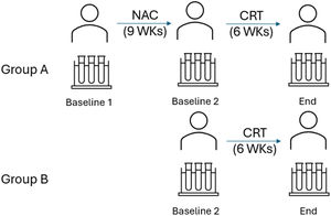 Sample collection scheme and time points. Samples were collected within seven days before NAC (baseline 1) or CRT (baseline 2) and 7 days after CRT (end).