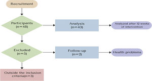 Flowchart of the study stages.